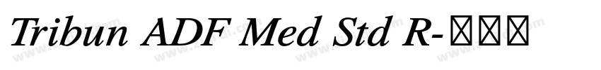 Tribun ADF Med Std R字体转换 Tribun ADF Med Std R字体转换